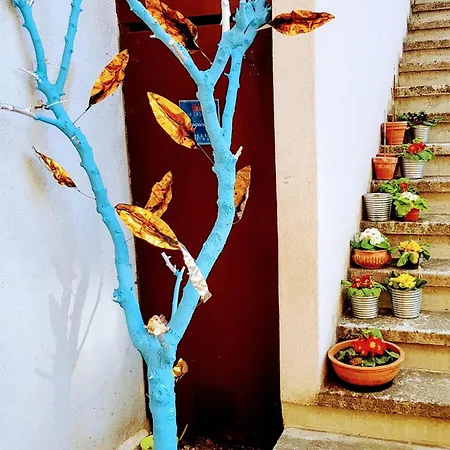 Rosa Center Apartment